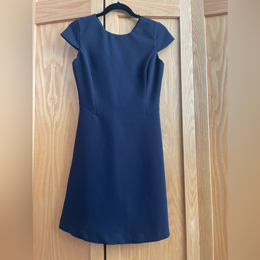 Blue Dalia Dress